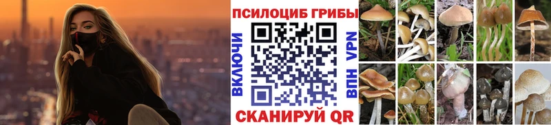 где продают   Инта  Галлюциногенные грибы Psilocybe 